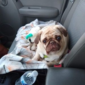 Meet your Posher, Christine